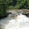 Swallow Falls State Park